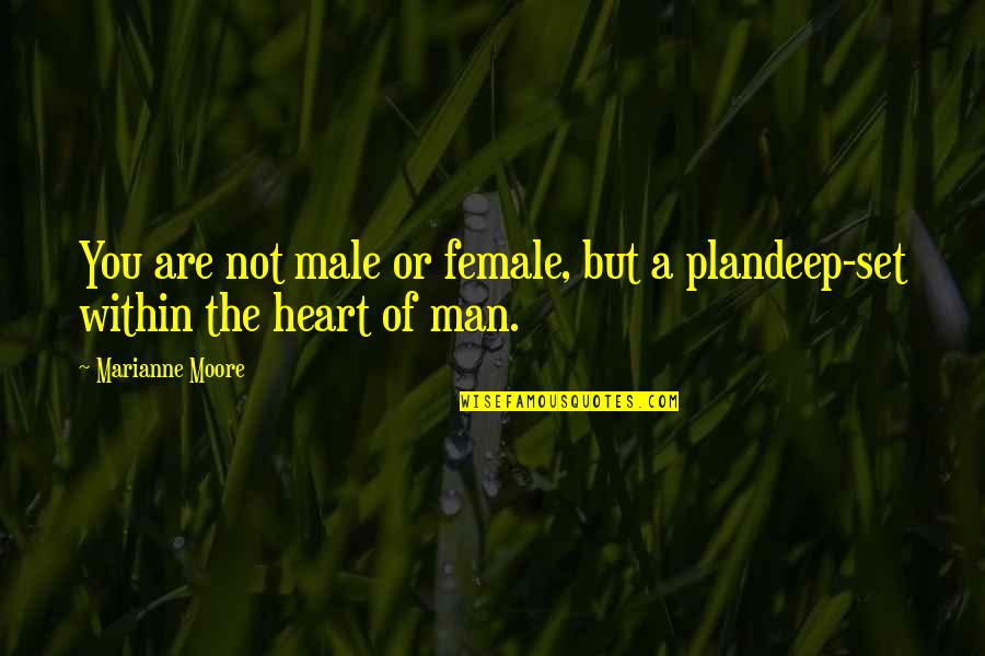 Da Best Love Quotes By Marianne Moore: You are not male or female, but a