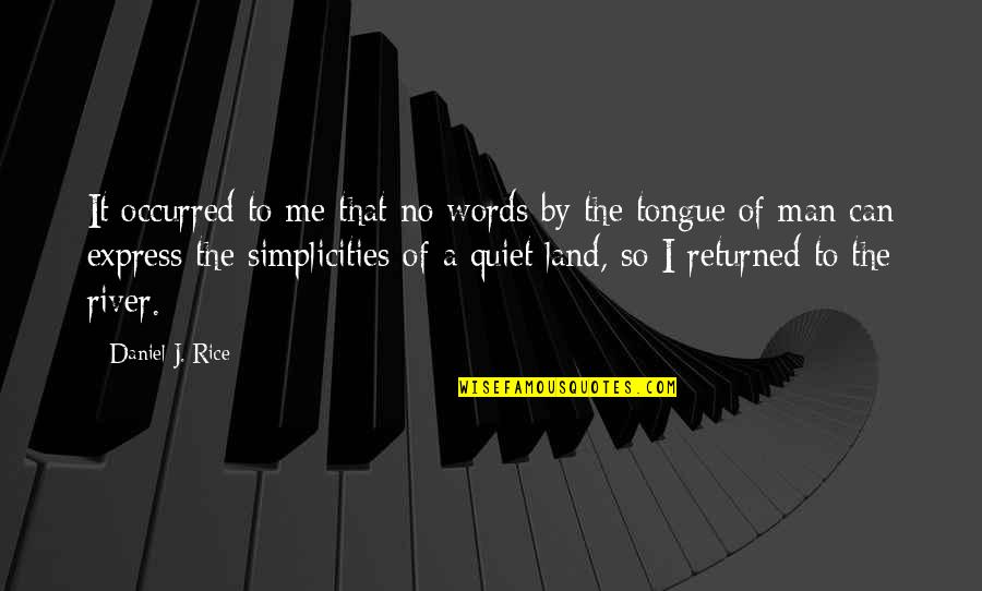 Daal Quotes By Daniel J. Rice: It occurred to me that no words by