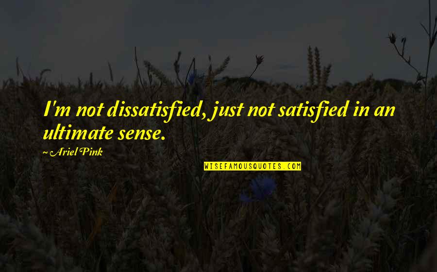 Daalderop Pewter Quotes By Ariel Pink: I'm not dissatisfied, just not satisfied in an