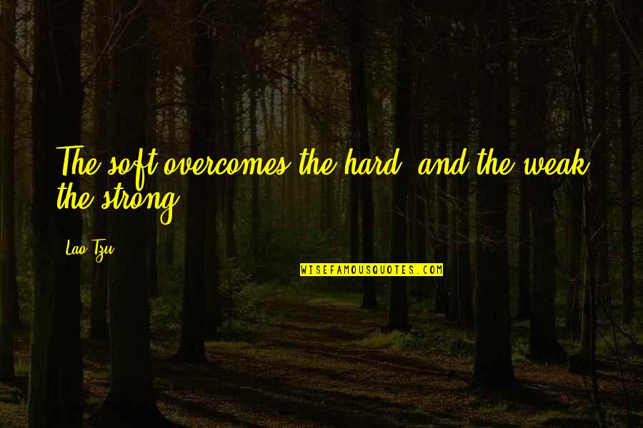 Dab Quotes By Lao-Tzu: The soft overcomes the hard; and the weak