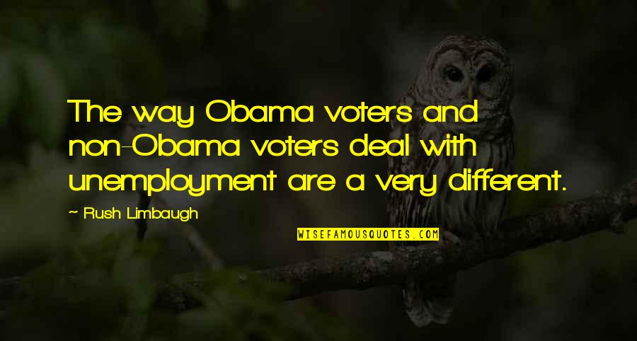 Dab Quotes By Rush Limbaugh: The way Obama voters and non-Obama voters deal