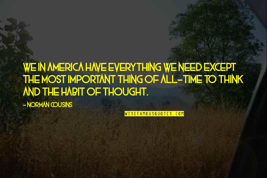 Dabeli Quotes By Norman Cousins: We in America have everything we need except Dabeli Quotes By Norman Cousins: We in America have everything we need except