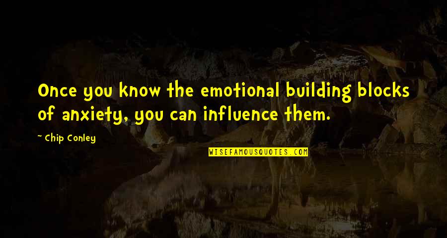 Dabrin Pattern Quotes By Chip Conley: Once you know the emotional building blocks of
