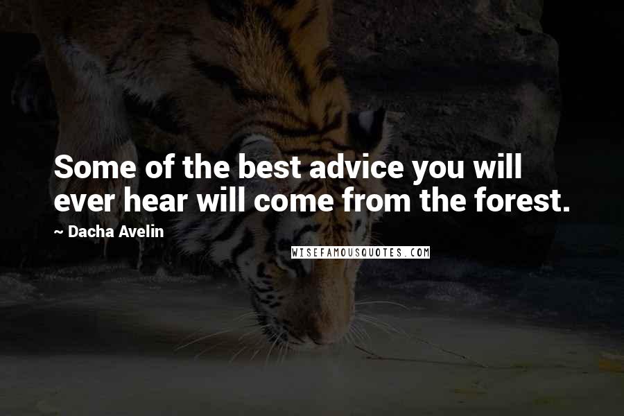 Dacha Avelin quotes: Some of the best advice you will ever hear will come from the forest.