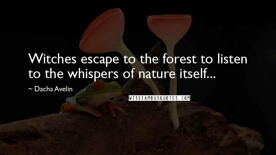 Dacha Avelin quotes: Witches escape to the forest to listen to the whispers of nature itself...