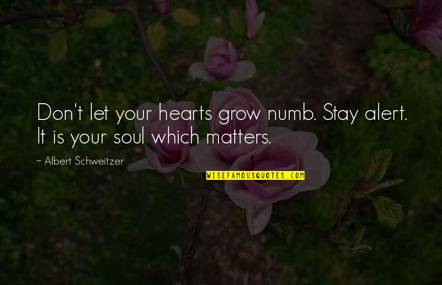 Dacher Quotes By Albert Schweitzer: Don't let your hearts grow numb. Stay alert.