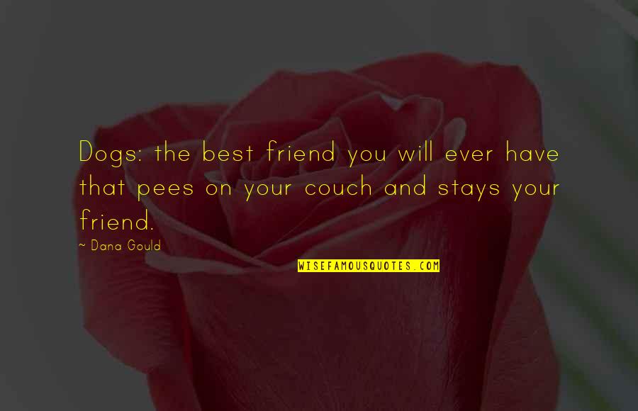 Dachui Quotes By Dana Gould: Dogs: the best friend you will ever have
