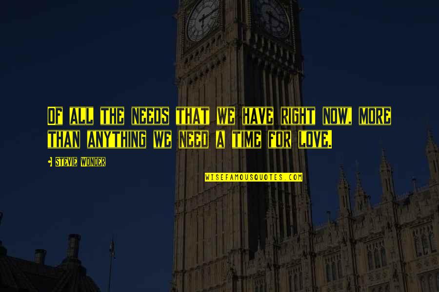 Dack Virnig Quotes By Stevie Wonder: Of all the needs that we have right