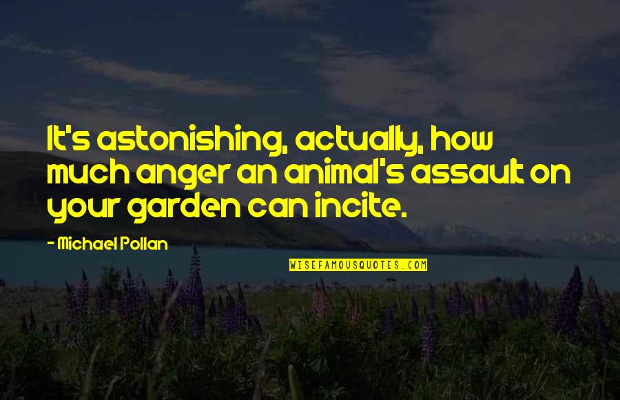 Dad And Daughter Relationship Quotes By Michael Pollan: It's astonishing, actually, how much anger an animal's Dad And Daughter Relationship Quotes By Michael Pollan: It's astonishing, actually, how much anger an animal's