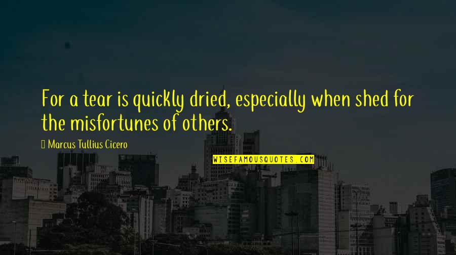 Dad And Son Fishing Quotes By Marcus Tullius Cicero: For a tear is quickly dried, especially when