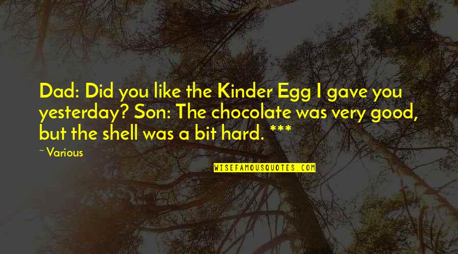 Dad Quotes By Various: Dad: Did you like the Kinder Egg I