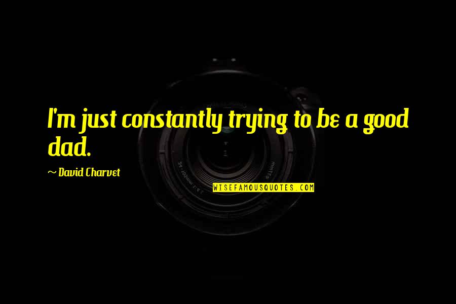 Dad To Be Quotes By David Charvet: I'm just constantly trying to be a good