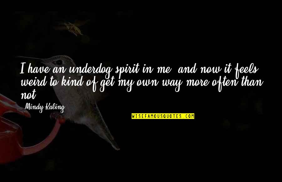 Dadashreeji Quotes By Mindy Kaling: I have an underdog spirit in me, and Dadashreeji Quotes By Mindy Kaling: I have an underdog spirit in me, and