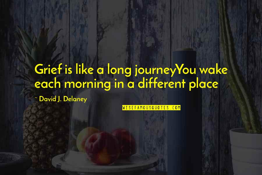 Daddy Doesn't Love Me Quotes By David J. Delaney: Grief is like a long journeyYou wake each