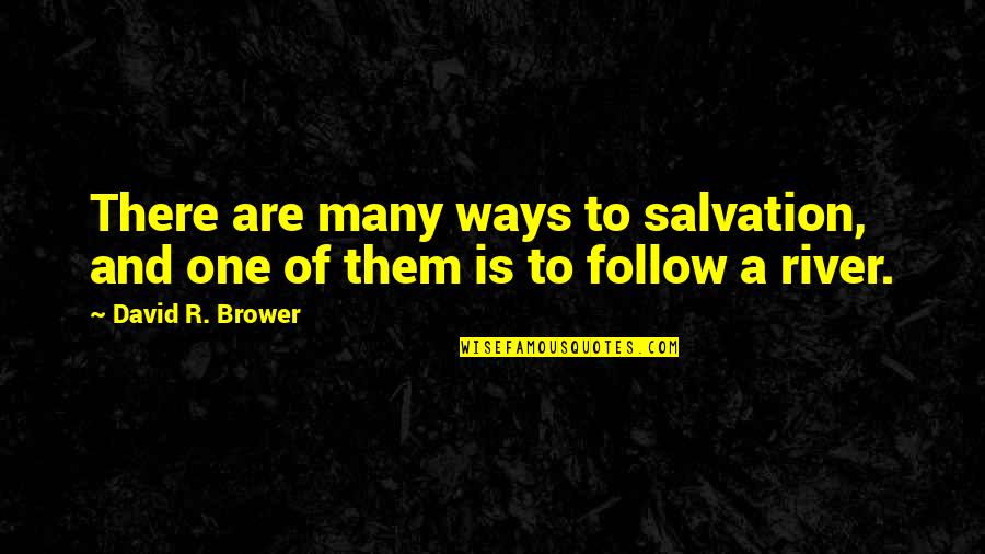Daden Lowery Quotes By David R. Brower: There are many ways to salvation, and one