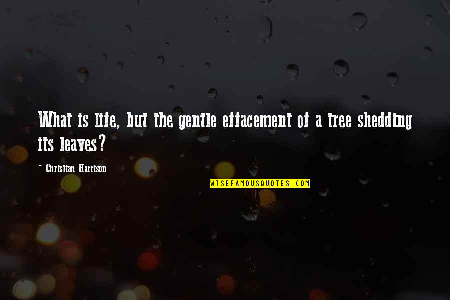 Dadenet Quotes By Christian Harrison: What is life, but the gentle effacement of