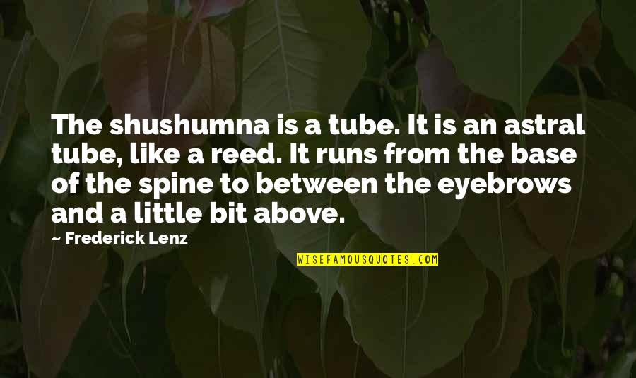 Dadenet Quotes By Frederick Lenz: The shushumna is a tube. It is an