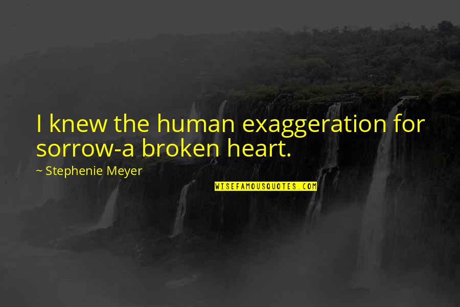 Dadt Quotes By Stephenie Meyer: I knew the human exaggeration for sorrow-a broken Dadt Quotes By Stephenie Meyer: I knew the human exaggeration for sorrow-a broken