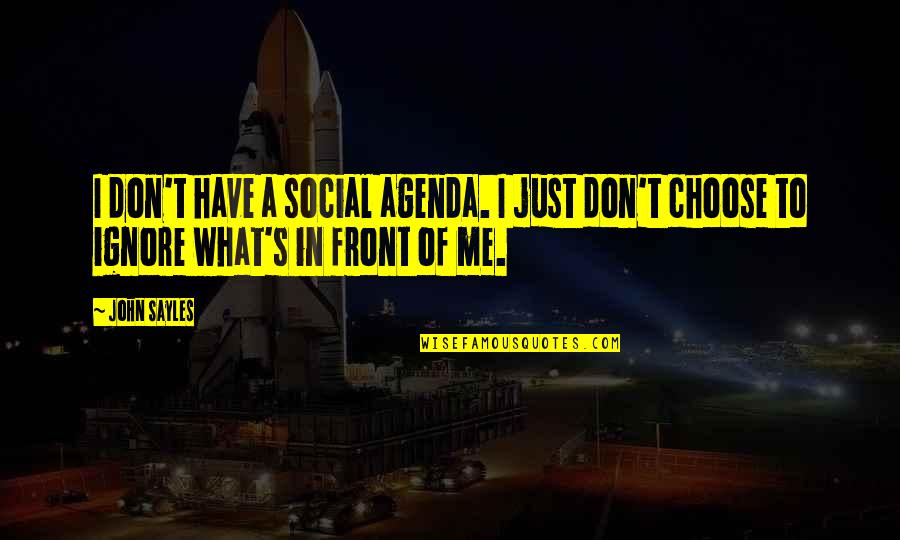 Daedric Princes Quotes By John Sayles: I don't have a social agenda. I just