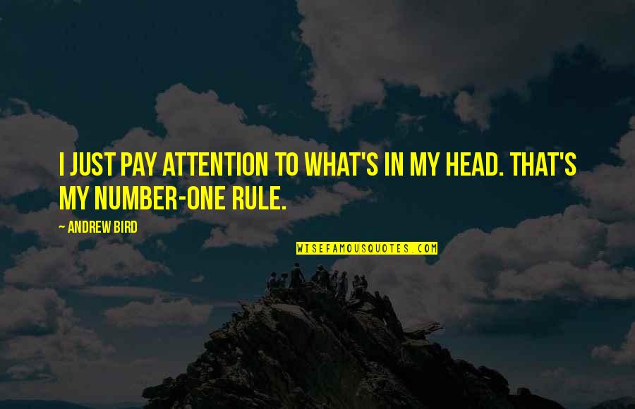 Daenerys Best Quotes By Andrew Bird: I just pay attention to what's in my