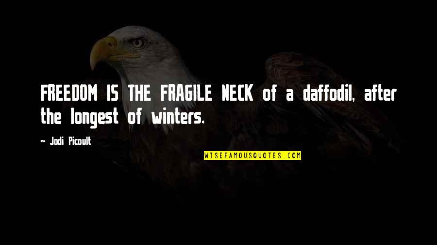 Daffodil Quotes By Jodi Picoult: FREEDOM IS THE FRAGILE NECK of a daffodil,