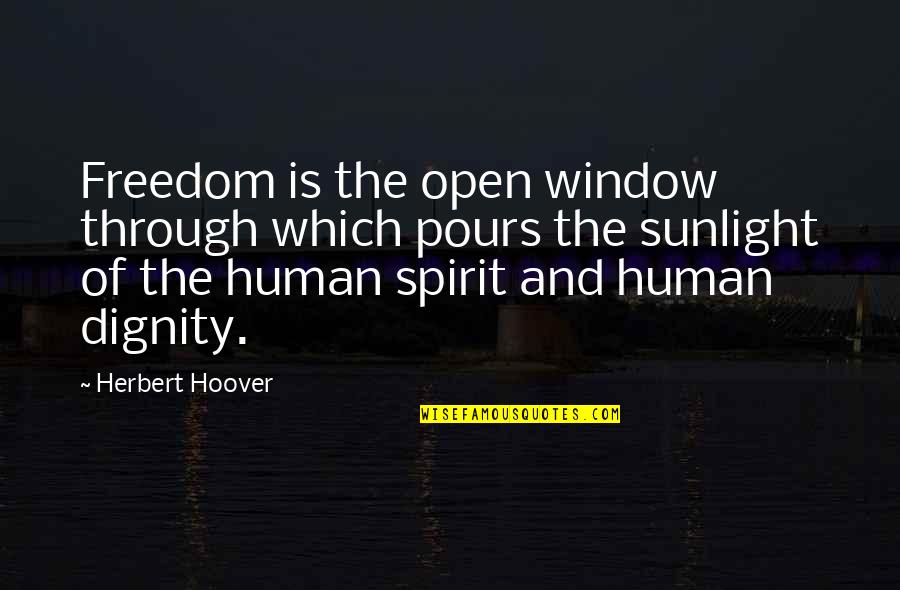 Daffy's Quotes By Herbert Hoover: Freedom is the open window through which pours