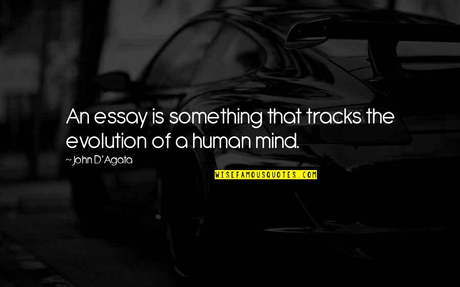 D'agata Quotes By John D'Agata: An essay is something that tracks the evolution