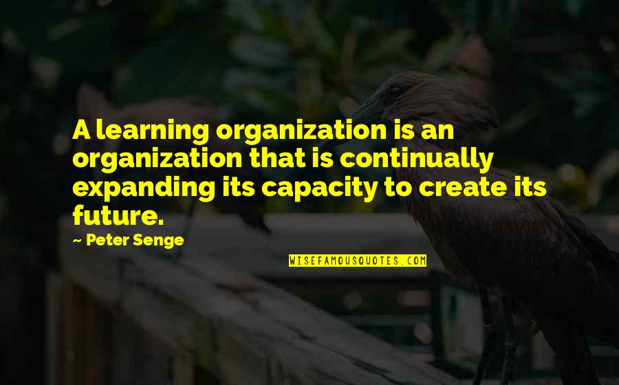 Daglarda Duman Quotes By Peter Senge: A learning organization is an organization that is Daglarda Duman Quotes By Peter Senge: A learning organization is an organization that is