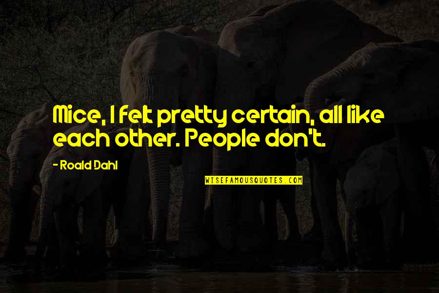 Dahl Quotes By Roald Dahl: Mice, I felt pretty certain, all like each