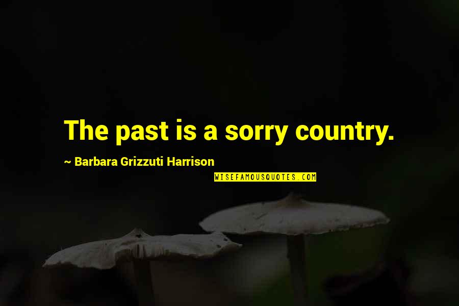 Dahler Und Quotes By Barbara Grizzuti Harrison: The past is a sorry country.
