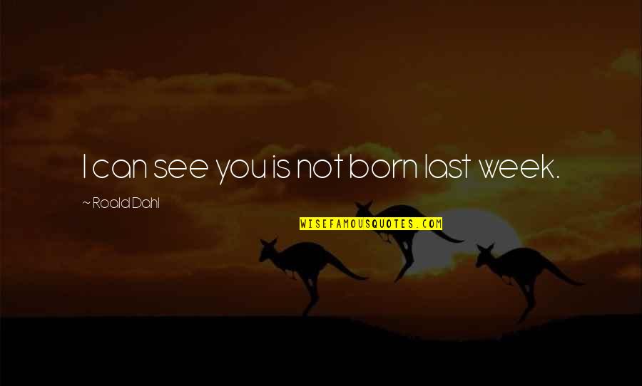 Dahl's Quotes By Roald Dahl: I can see you is not born last Dahl's Quotes By Roald Dahl: I can see you is not born last