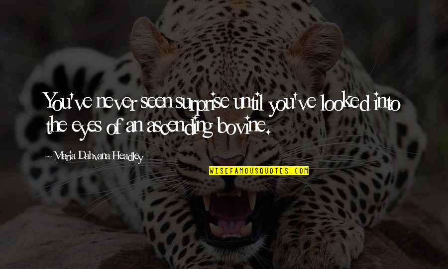 Dahvana Headley Quotes By Maria Dahvana Headley: You've never seen surprise until you've looked into