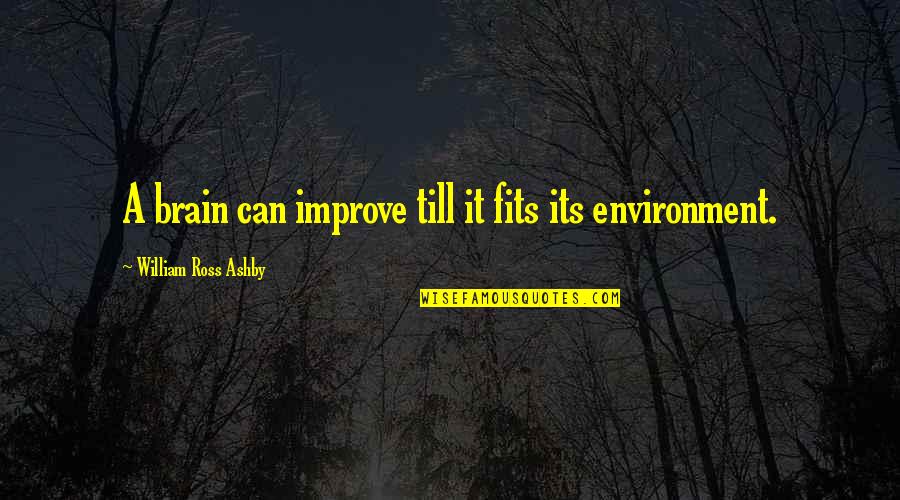 Daibhidh Dent Quotes By William Ross Ashby: A brain can improve till it fits its Daibhidh Dent Quotes By William Ross Ashby: A brain can improve till it fits its