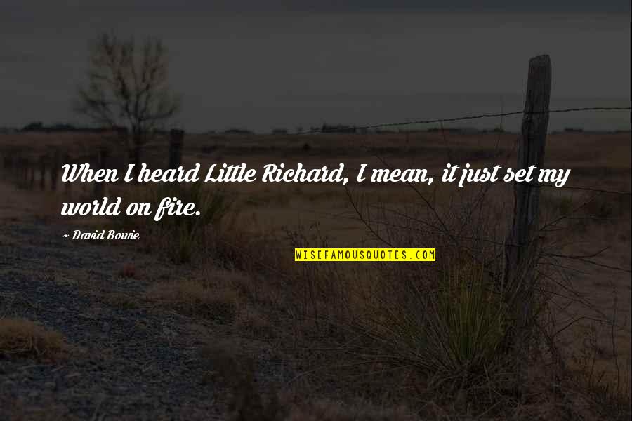 Daiches Jewelry Quotes By David Bowie: When I heard Little Richard, I mean, it