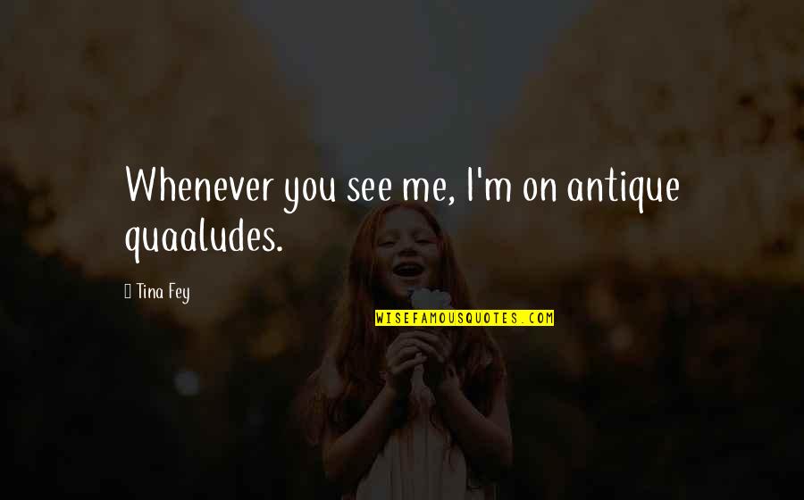 Daigoro Vs Goliath Quotes By Tina Fey: Whenever you see me, I'm on antique quaaludes.