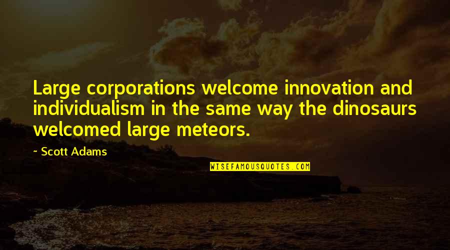 Daihachi Yoshida Quotes By Scott Adams: Large corporations welcome innovation and individualism in the