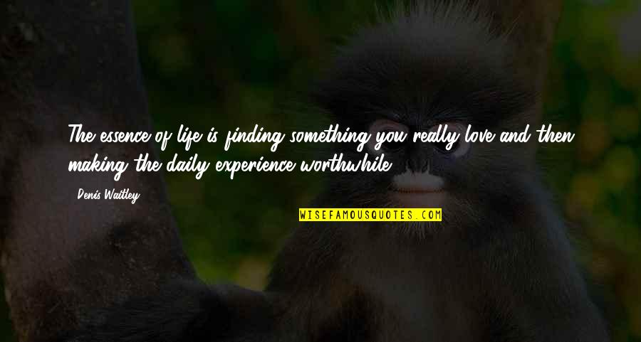 Daily Experience Quotes By Denis Waitley: The essence of life is finding something you