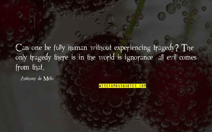 Daily Gym Quotes By Anthony De Mello: Can one be fully human without experiencing tragedy? Daily Gym Quotes By Anthony De Mello: Can one be fully human without experiencing tragedy?