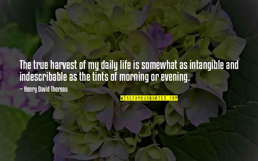 Daily Happiness Quotes By Henry David Thoreau: The true harvest of my daily life is