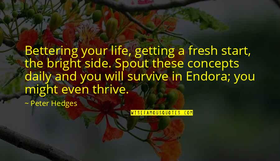 Daily Life Quotes By Peter Hedges: Bettering your life, getting a fresh start, the