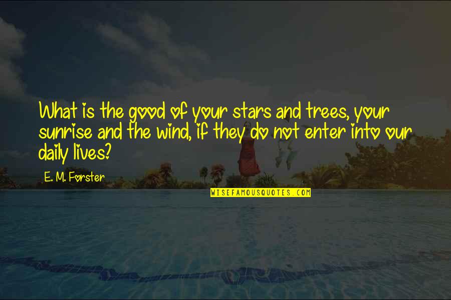Daily Lives Quotes By E. M. Forster: What is the good of your stars and Daily Lives Quotes By E. M. Forster: What is the good of your stars and