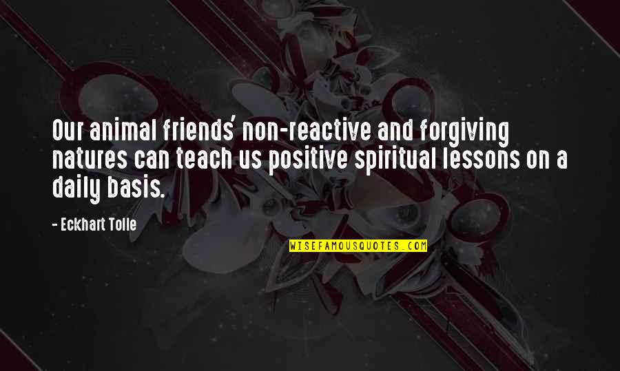 Daily Positive Quotes By Eckhart Tolle: Our animal friends' non-reactive and forgiving natures can