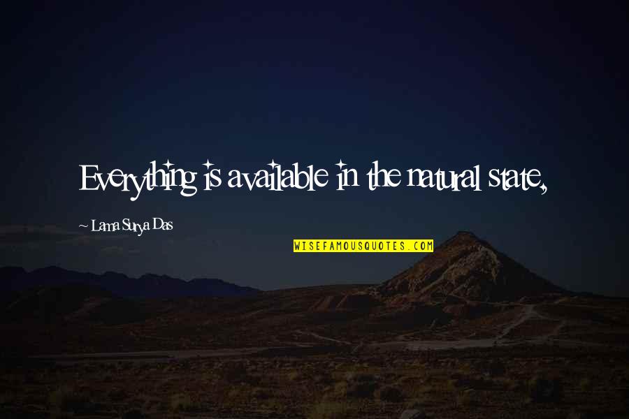 Daily Struggle Quotes By Lama Surya Das: Everything is available in the natural state,