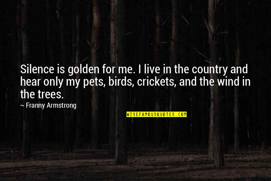 Daily Vitamin Quotes By Franny Armstrong: Silence is golden for me. I live in