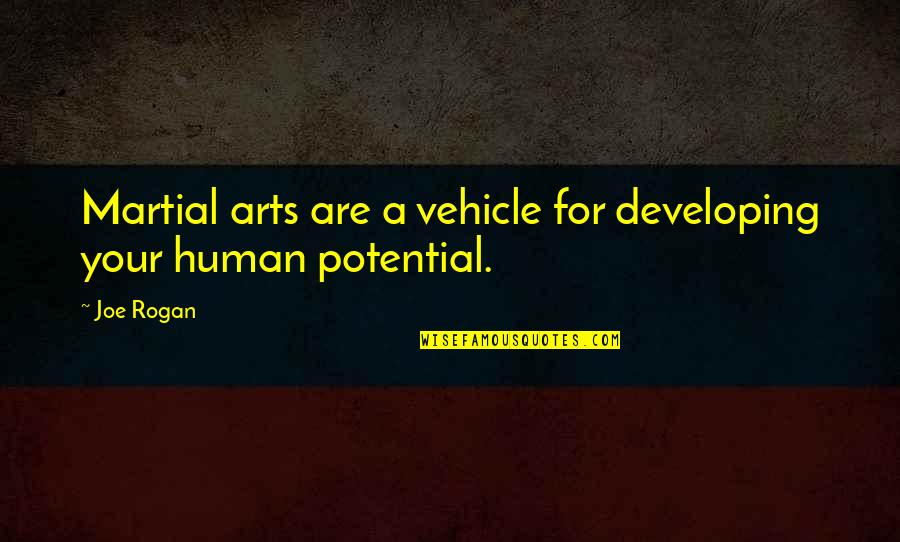 Dainteeshave Quotes By Joe Rogan: Martial arts are a vehicle for developing your