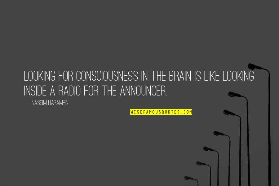 Dainties Cupcakes Quotes By Nassim Haramein: Looking for consciousness in the brain is like Dainties Cupcakes Quotes By Nassim Haramein: Looking for consciousness in the brain is like
