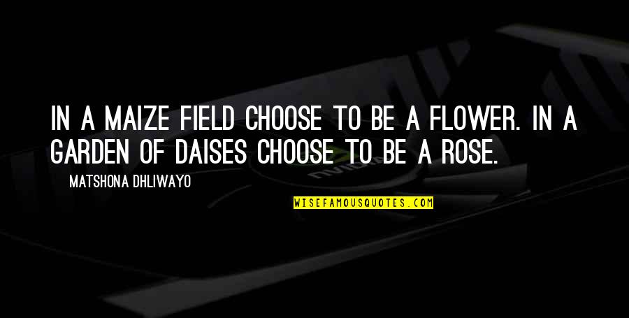 Daises Quotes By Matshona Dhliwayo: In a maize field choose to be a Daises Quotes By Matshona Dhliwayo: In a maize field choose to be a