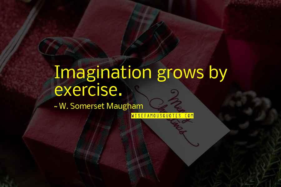 Daishonin Quotes By W. Somerset Maugham: Imagination grows by exercise.
