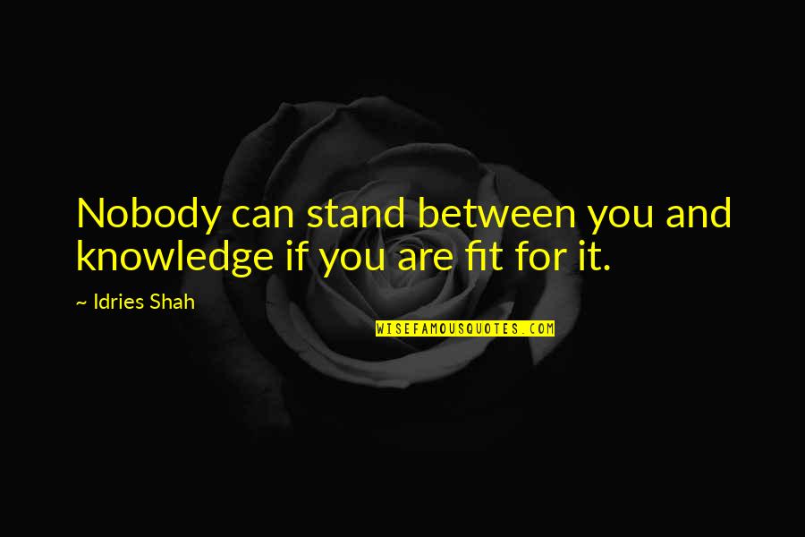 Daisy Buchanan Superficial Quotes By Idries Shah: Nobody can stand between you and knowledge if