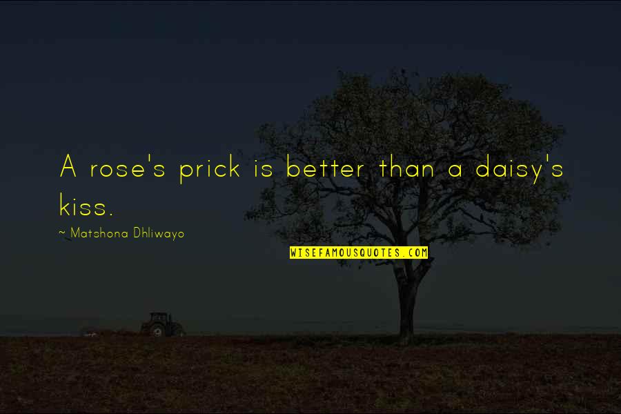 Daisy's Quotes By Matshona Dhliwayo: A rose's prick is better than a daisy's